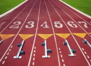 开云官网-赛道与赛场，当F1街道赛焦点战遇见吉林队粉碎掘金