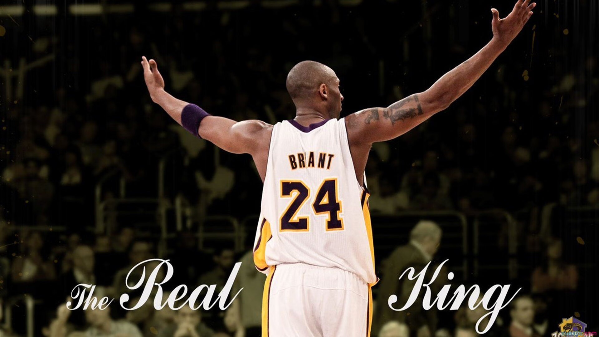 武切维奇赛后评分拉满，黄蜂末节狂飙翻盘骑士